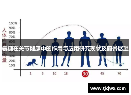 氨糖在关节健康中的作用与应用研究现状及前景展望